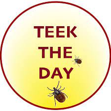Teek The Day